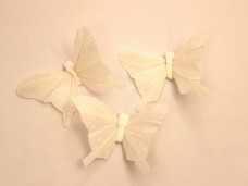 羽の蝶ちょホワイト3匹セットSサイズ