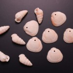 貝殻のビーズ プラスチック 二枚貝と巻き貝