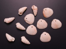 貝殻のビーズ プラスチック 二枚貝と巻き貝