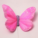 羽の蝶ちょ ピンク