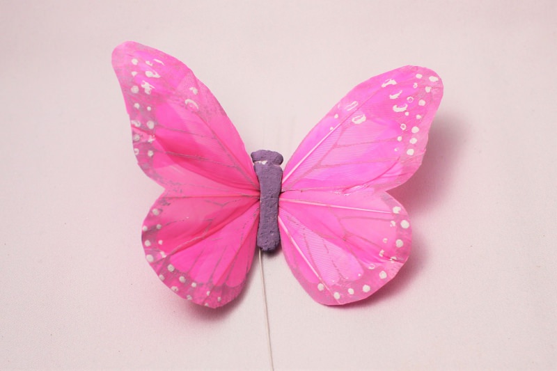 羽の蝶ちょ ピンク