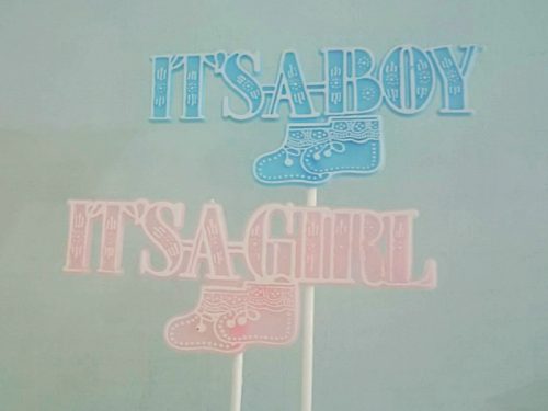 ベビーシャワーに♡IT'S A BOY & IT'S A GIRLのヴィンテージピック ヴィンテージDeco